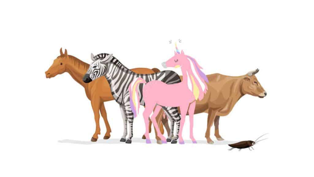 startup einhorn pferd zebra kuh kakerlake 1 1024x576 1