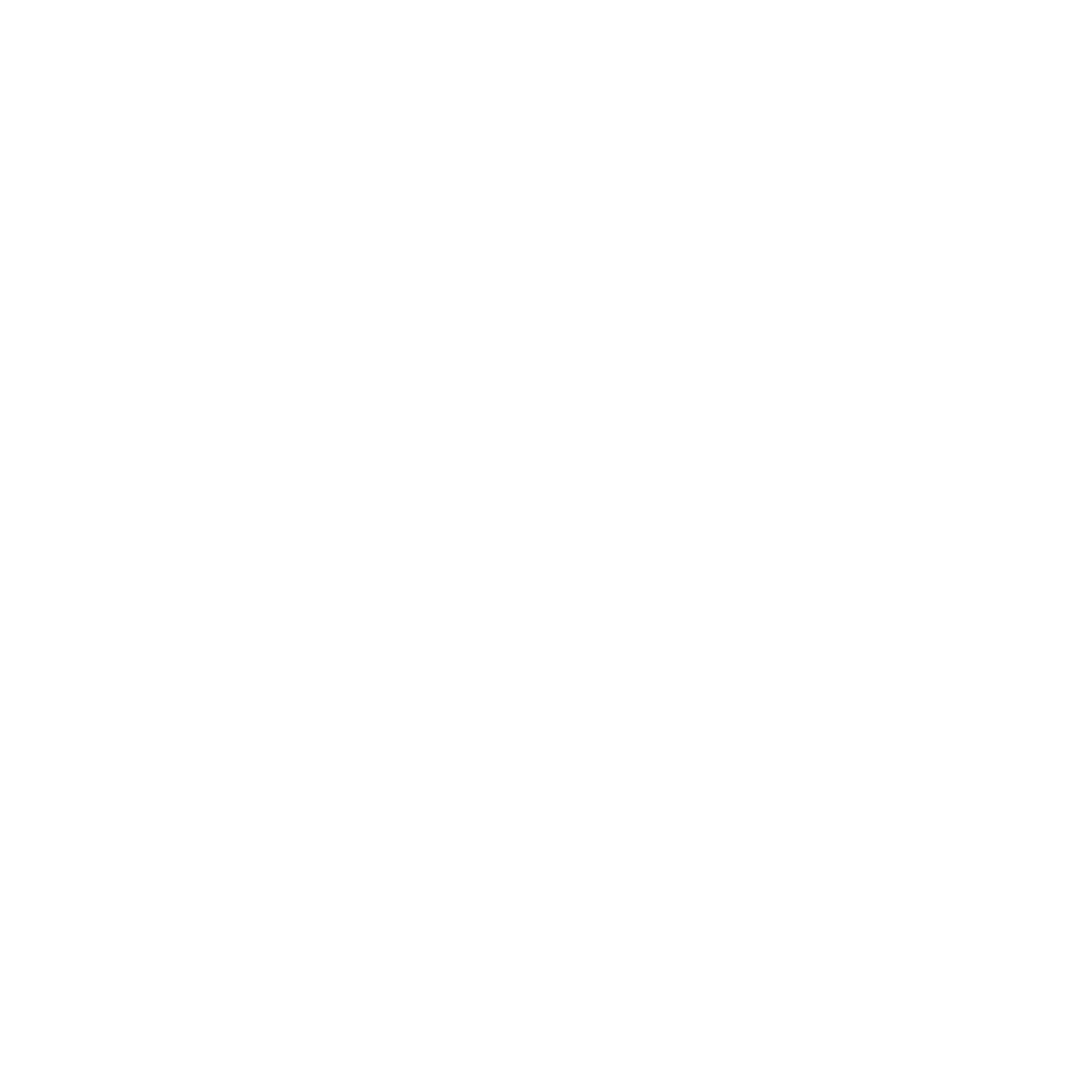 icon schweiz
