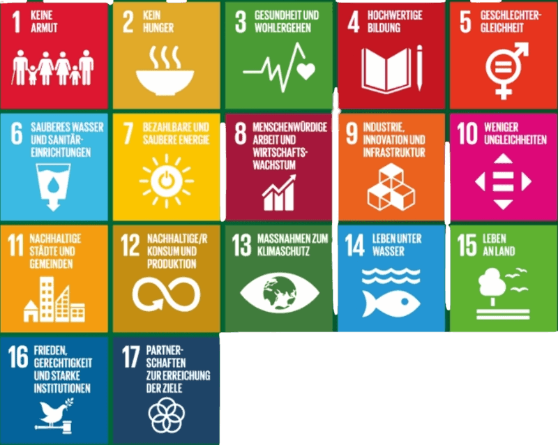 sdg placeholder bg